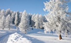 принимаются предложения по организации зимнего отдыха в парках ульяновской области