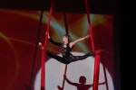 народный коллектив «цирк на сцене» отметил свое 50-летие 10