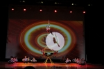 народный коллектив «цирк на сцене» отметил свое 50-летие 13