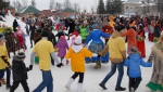 подсолнух-fest 16