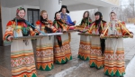 подсолнух-fest 4