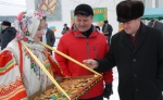 подсолнух-fest 9