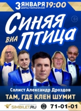 виа синяя птица