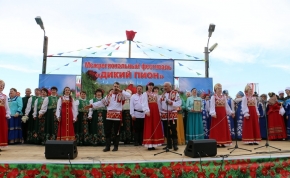 фестиваль славянской культуры «дикий пион» прошел в радищевском районе