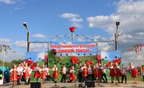фестиваль славянской культуры «дики пион» вновь прошел в радищевском районе