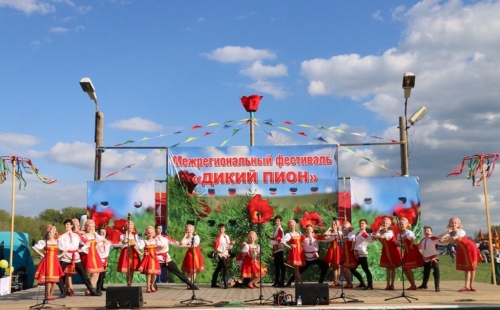 фестиваль славянской культуры «дики пион» вновь прошел в радищевском районе