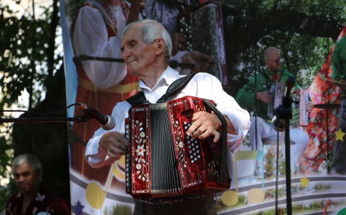 в ульяновской области пройдет онлайн-фестиваль гармонистов, баянистов и аккордеонистов «тереньгульские переливы»