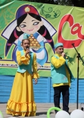 «симбирские ласточки»