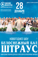 Новогоднее шоу «БЕЛОСНЕЖНЫЙ БАЛ ИОГАННА ШТРАУСА» CONCORD ORCHESTRA 2026.12.28 ульяновск дворец губернаторский a4 чистая